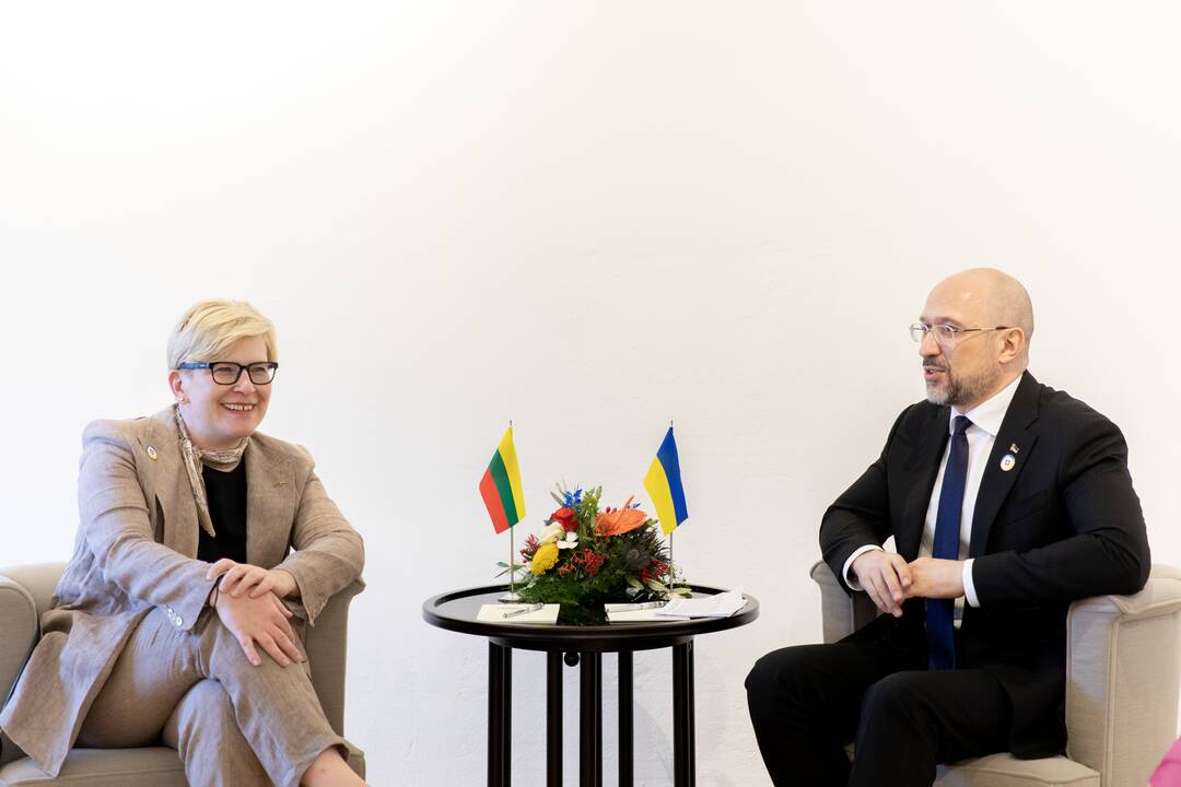 Ingrida Šimonytė ir Denysas Šmyhalis