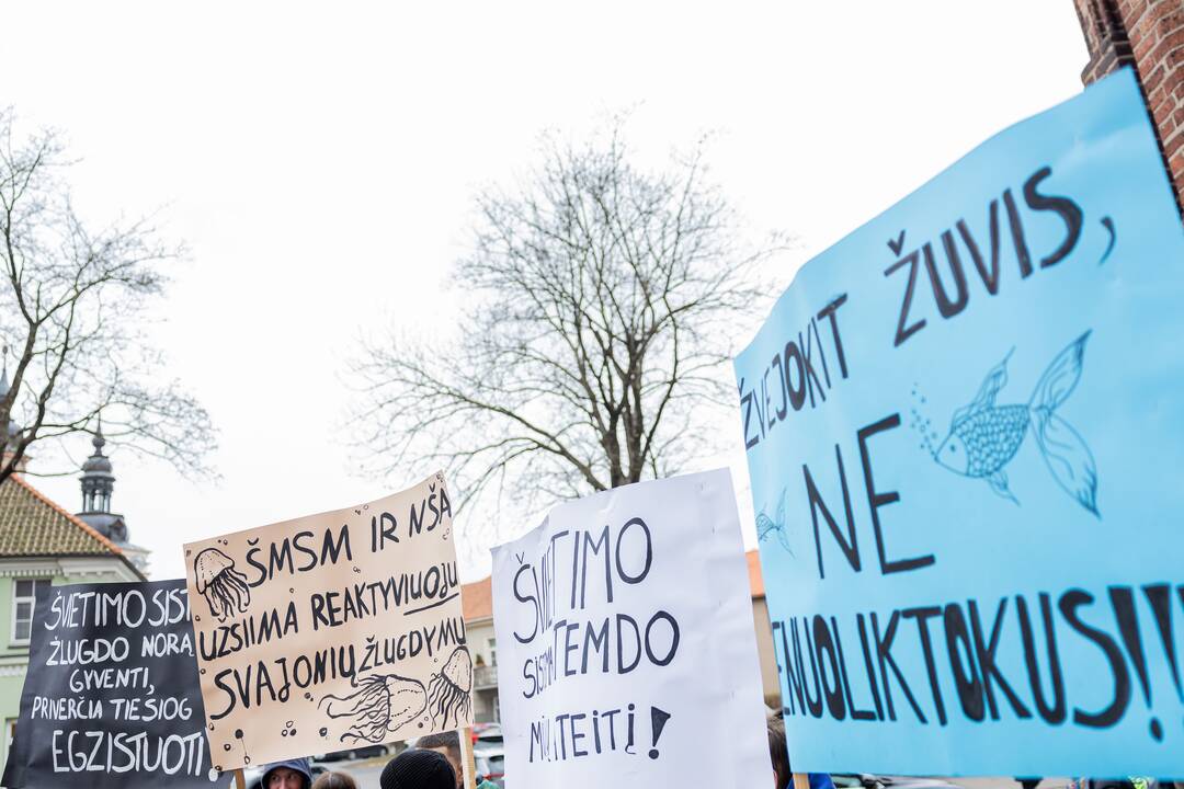 Moksleivių piketas prieš vienuoliktokų tarpinius patikrinimus