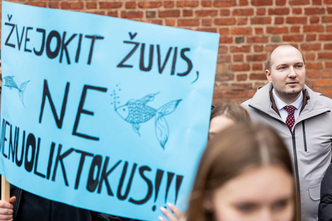 Moksleivių piketas prieš vienuoliktokų tarpinius patikrinimus