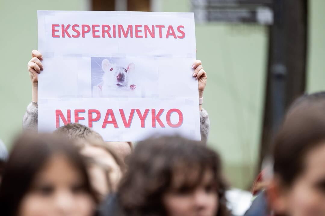 Moksleivių piketas prieš vienuoliktokų tarpinius patikrinimus