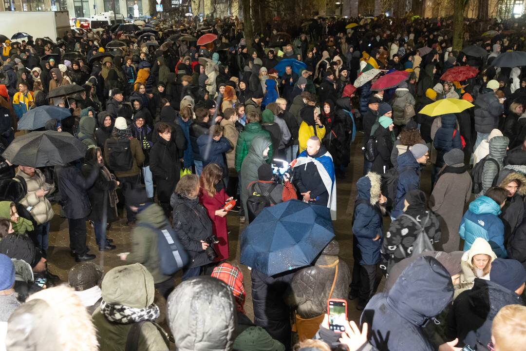 Protestas prie Seimo: „Dešimt tylos minučių“