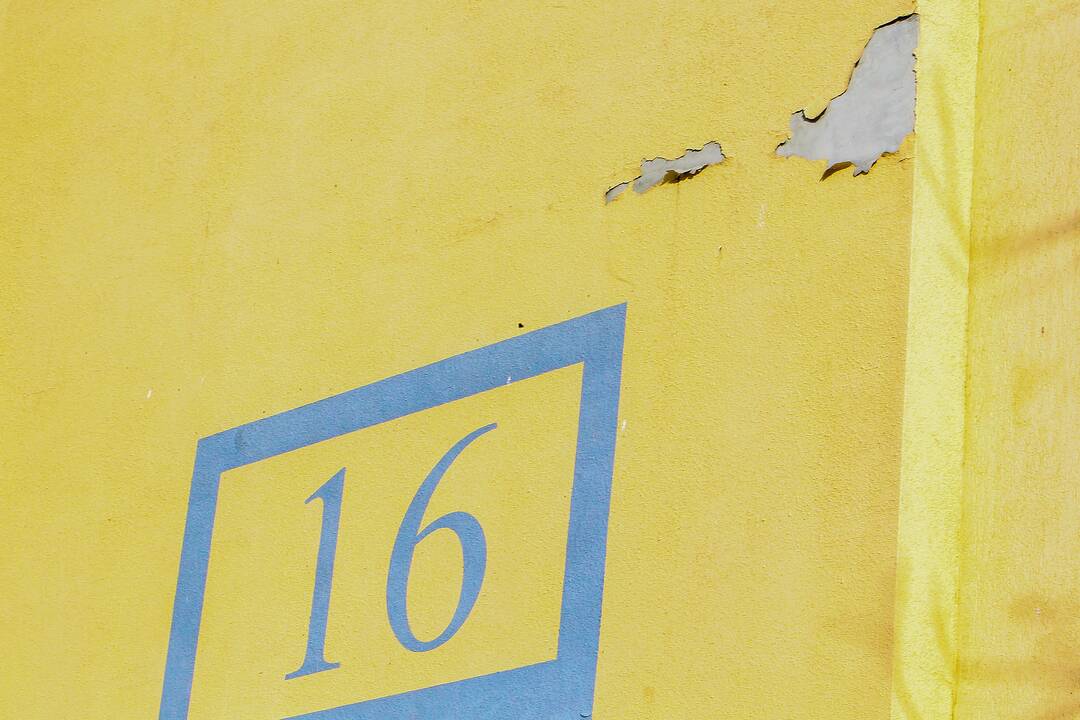 Pažaliavęs daugiabutis P.Plechavičiaus gatvėje