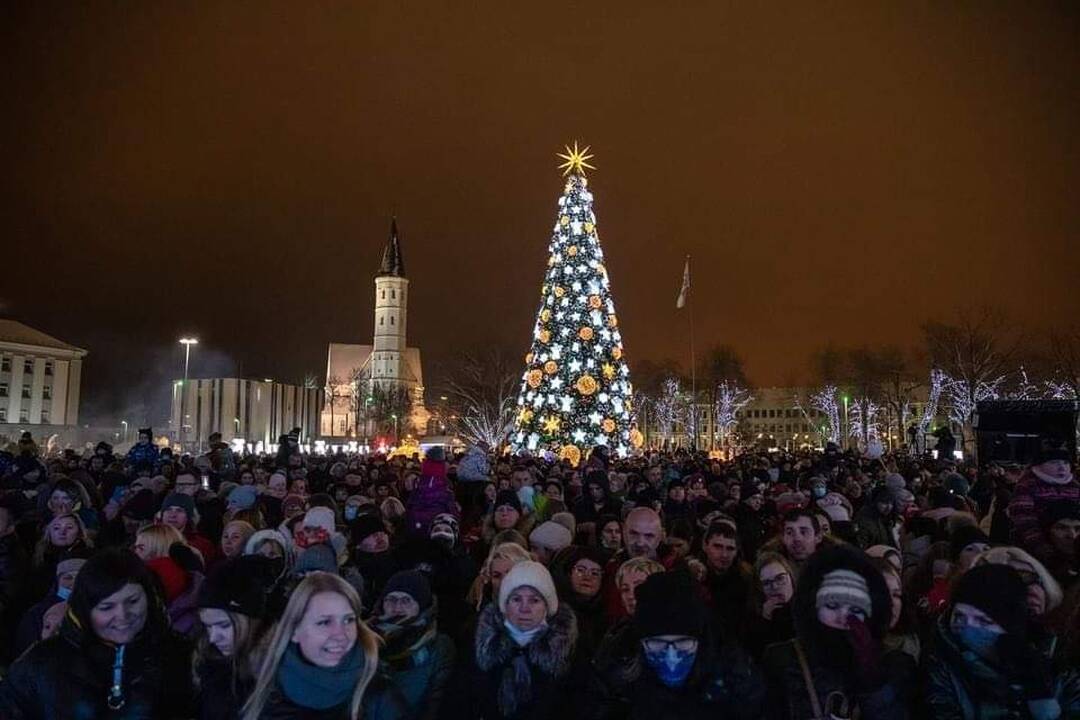 Šiauliuose suspindo pagrindinė miesto Kalėdų eglė