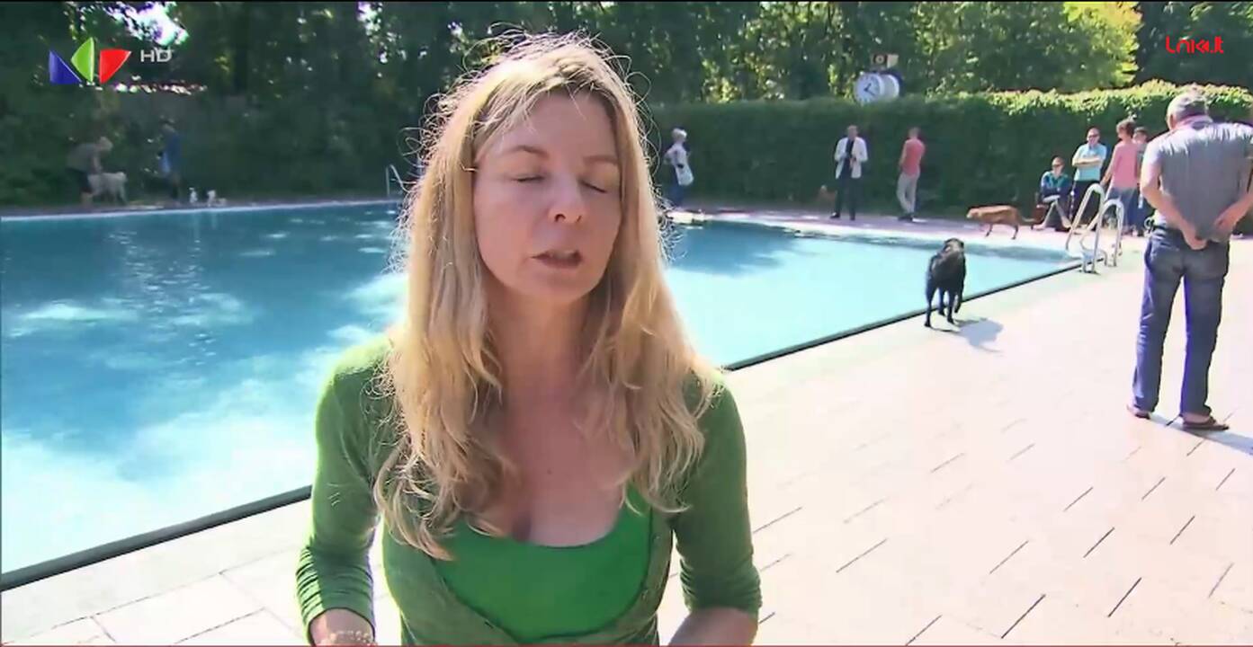 Vokietijoje surengtos vasaros pabaigtuvės keturkojams