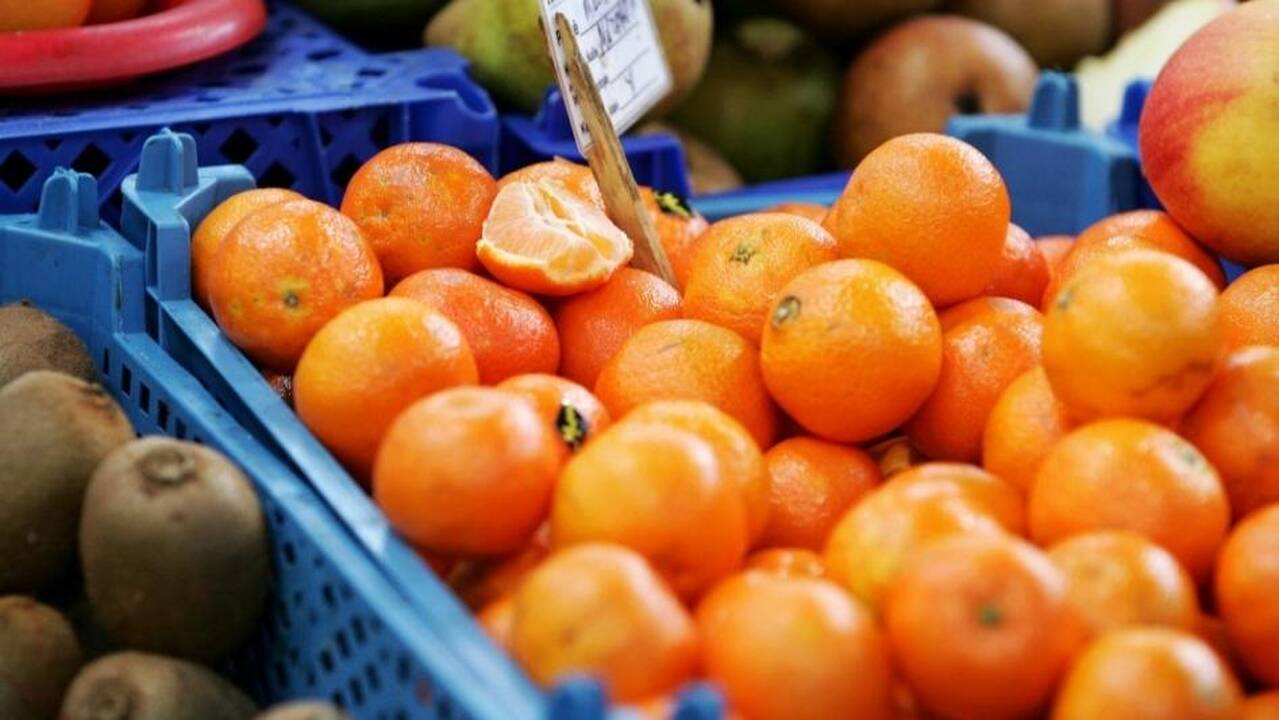 Kokie vabzdžiai gali gyventi mandarinuose