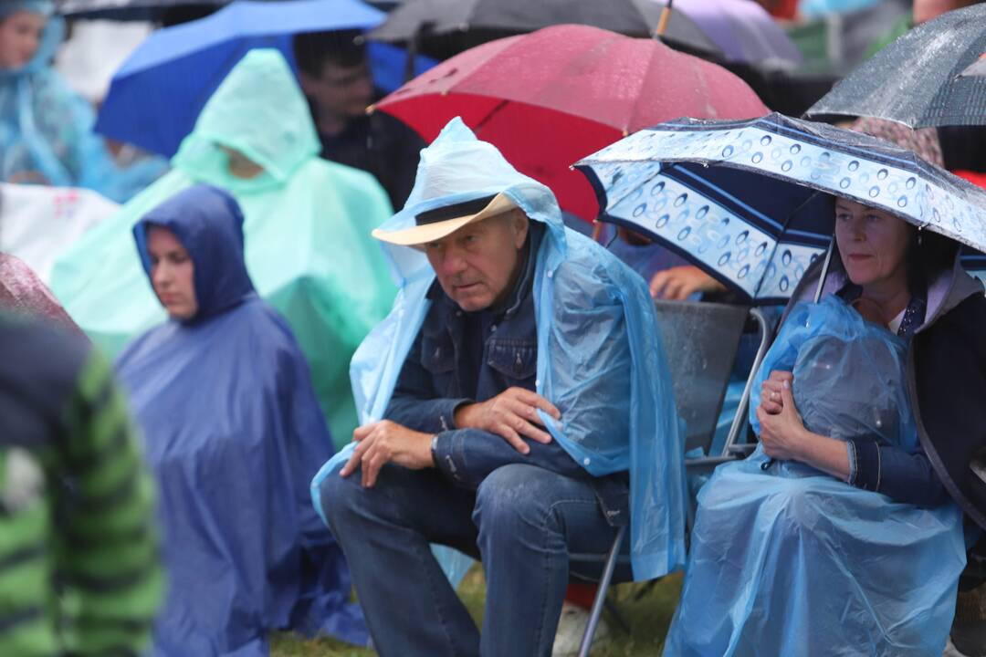 Festivalis "Akacijų alėja"