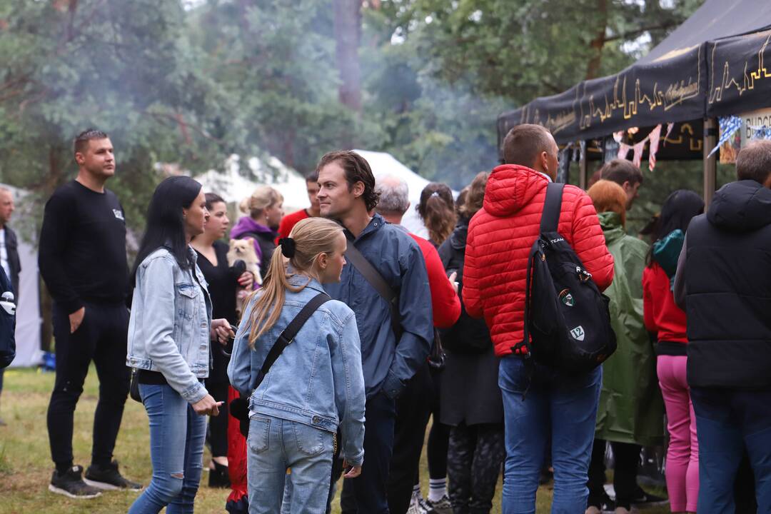 Festivalis "Akacijų alėja"