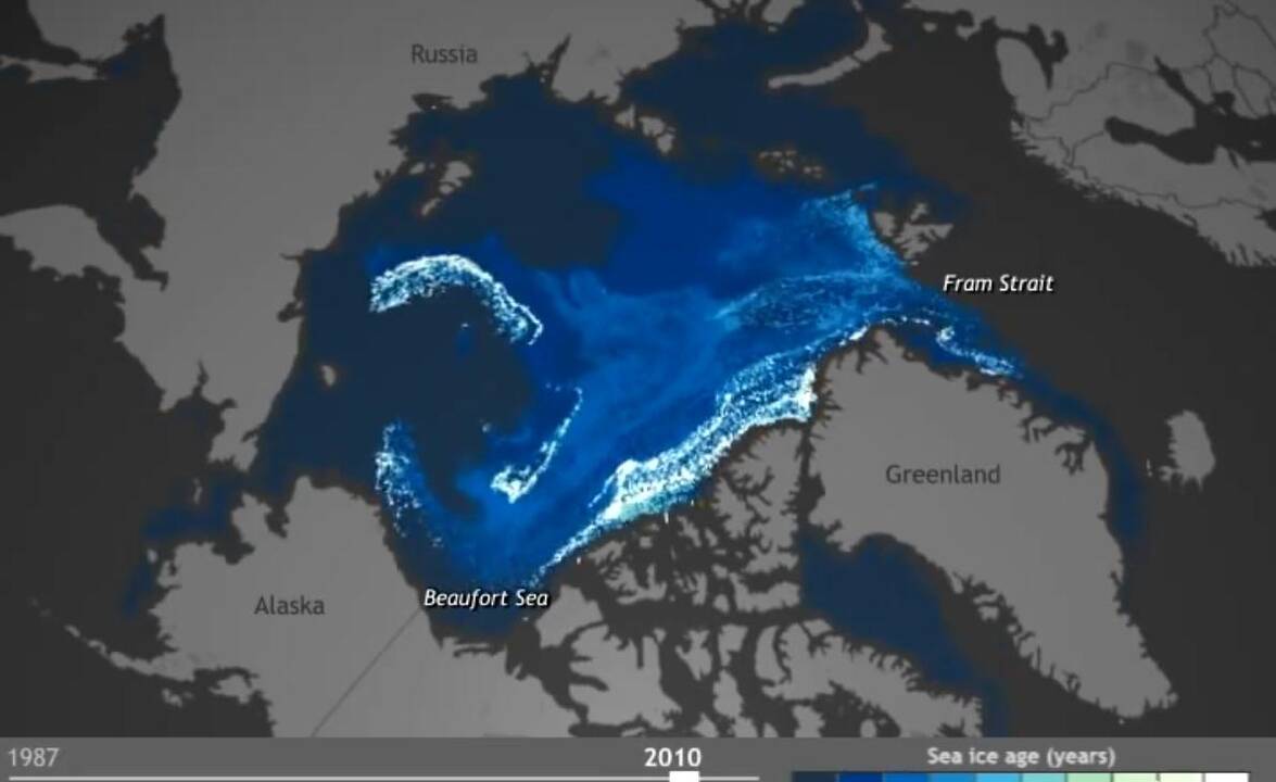 Kaip per 25 metus pasikeitė Arktis? Minutės vaizdo įrašas suglumino mokslininkus