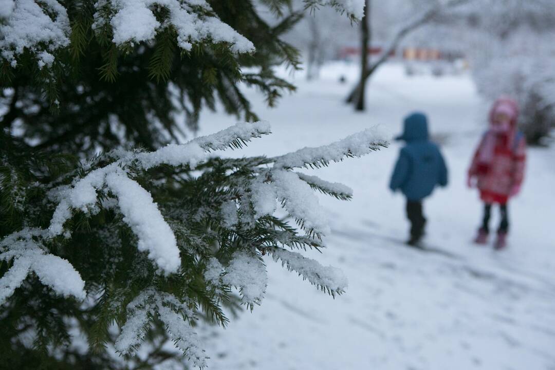 Sinoptikai: savaitgalį į Lietuvą atkeliaus žiema