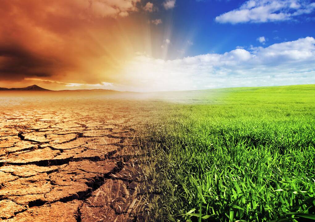 EP siekia privalomų kovos su klimato kaita tikslų iki 2030 m.