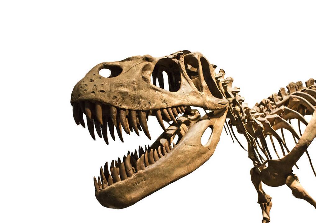 Dinozaurai irgi sirgdavo vėžiu, nustatė mokslininkai