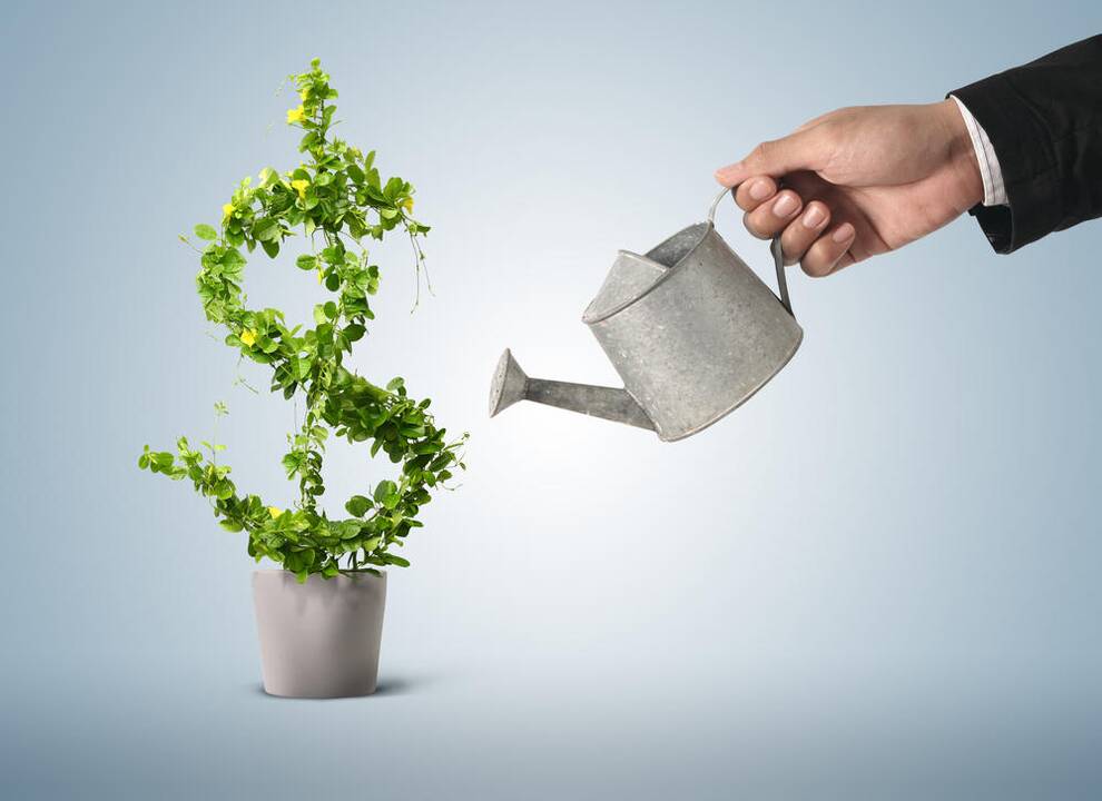 Sukauptosios tiesioginės užsienio investicijos Lietuvoje beveik nepakito
