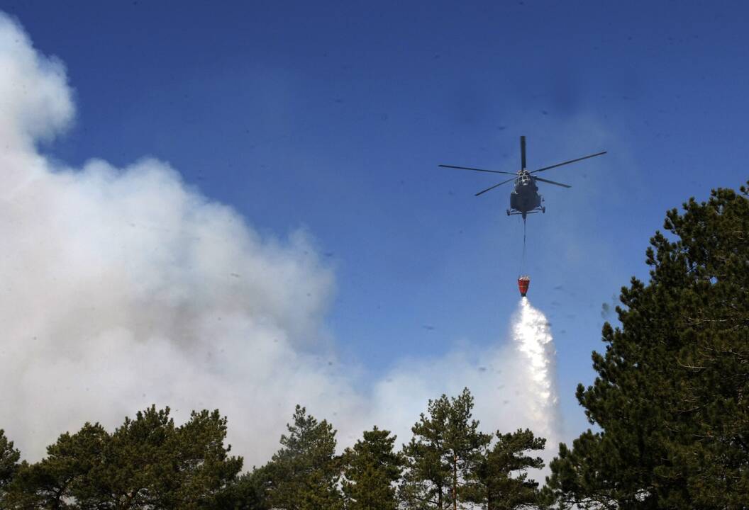 Gaisras Kuršių nerijoje