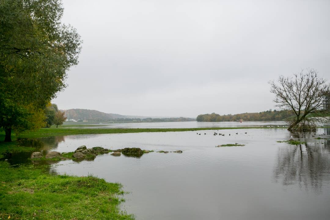 Patvinęs Nemunas