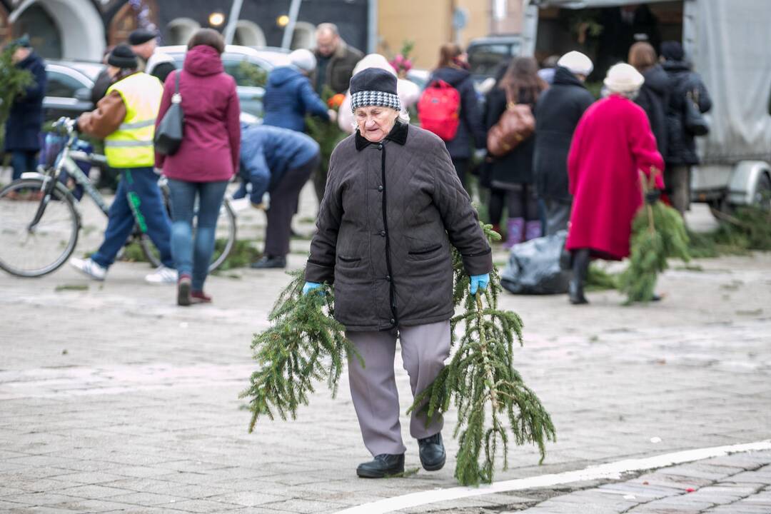  Akcija "Parsinešk Kalėdas į savo namus"