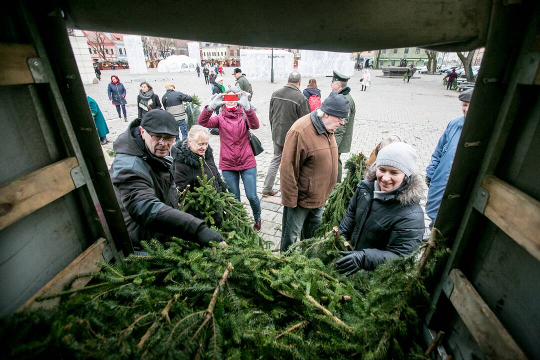  Akcija "Parsinešk Kalėdas į savo namus"