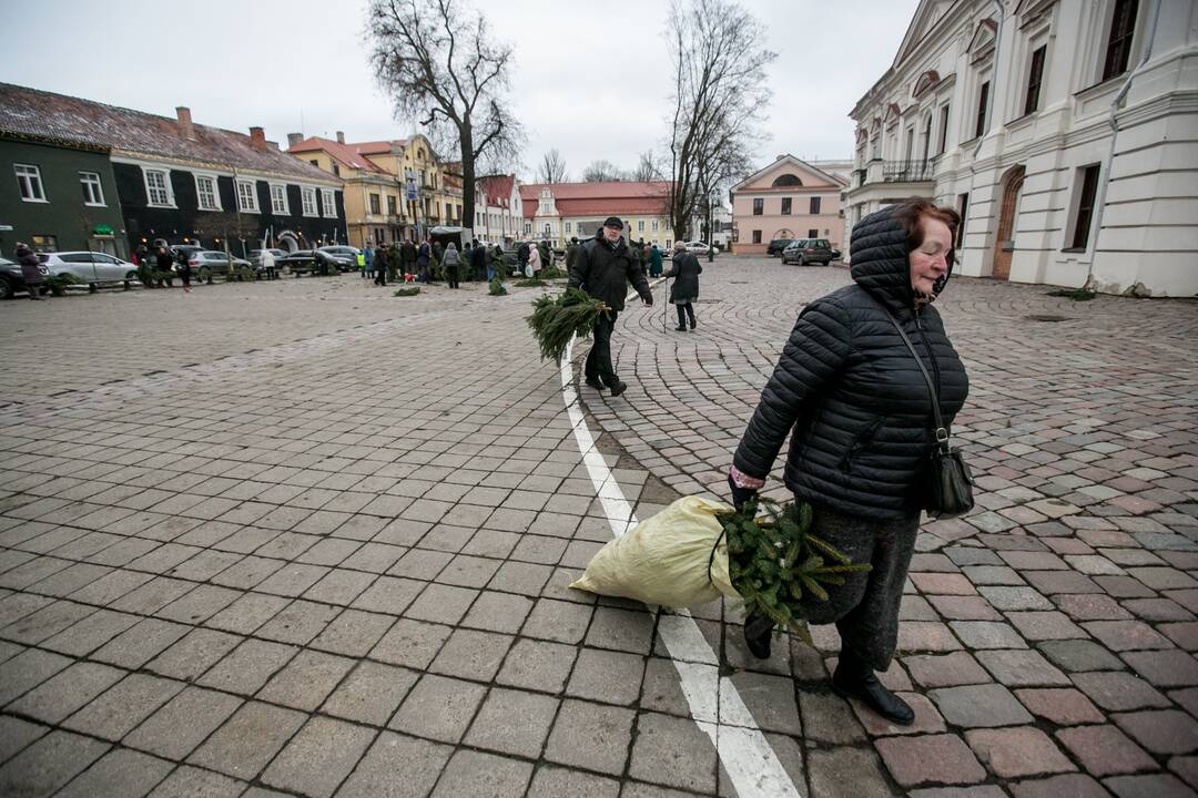  Akcija "Parsinešk Kalėdas į savo namus"