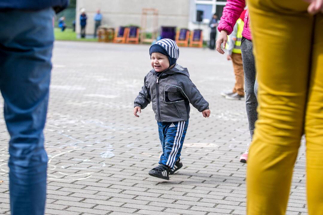 Japoniškų aitvarų festivalis