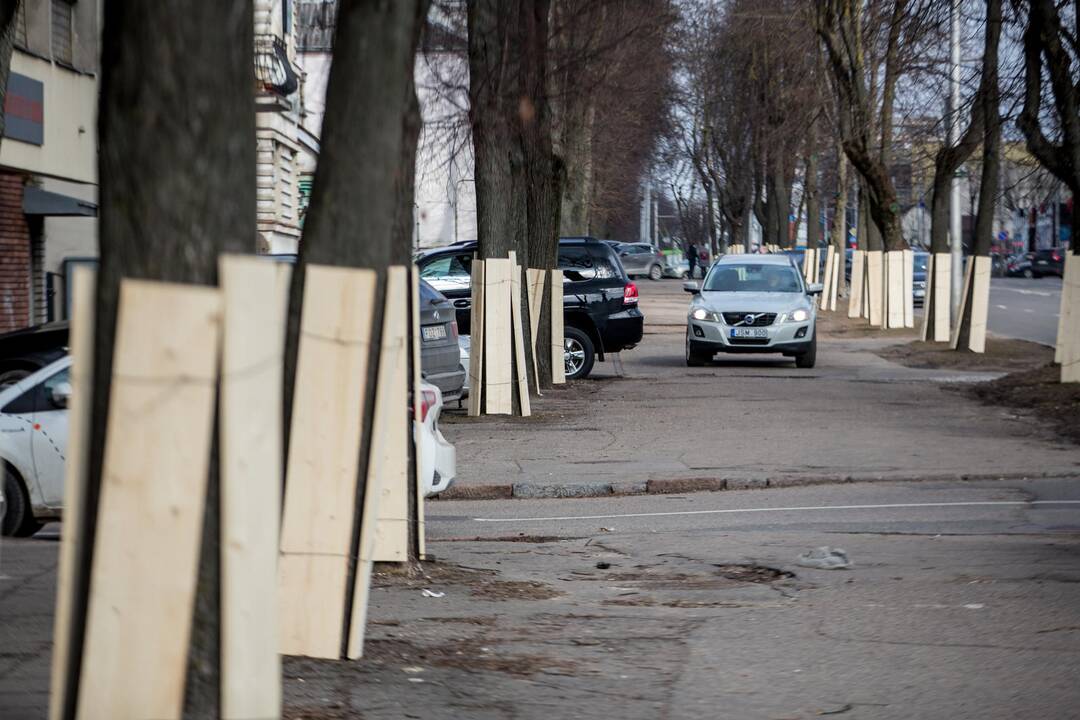 Savanorių pr. rekonstrukcijos paruošiamieji darbai