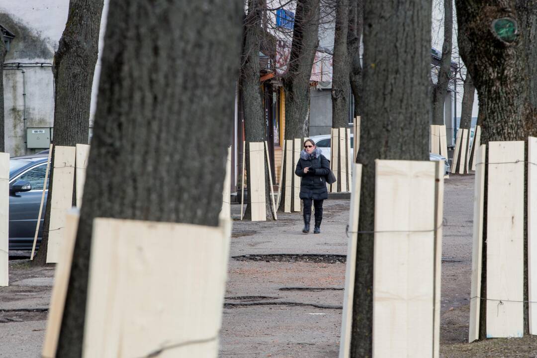 Savanorių pr. rekonstrukcijos paruošiamieji darbai