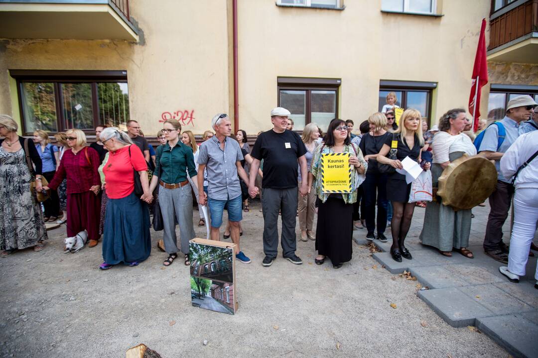 Protestas Miško gatvėje dėl kertamų medžių 