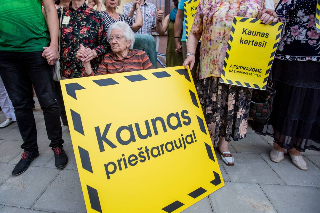 Protestas Miško gatvėje dėl kertamų medžių 