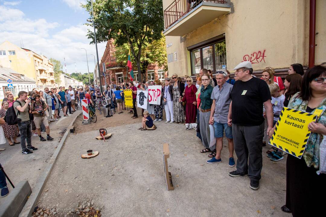 Protestas Miško gatvėje dėl kertamų medžių 