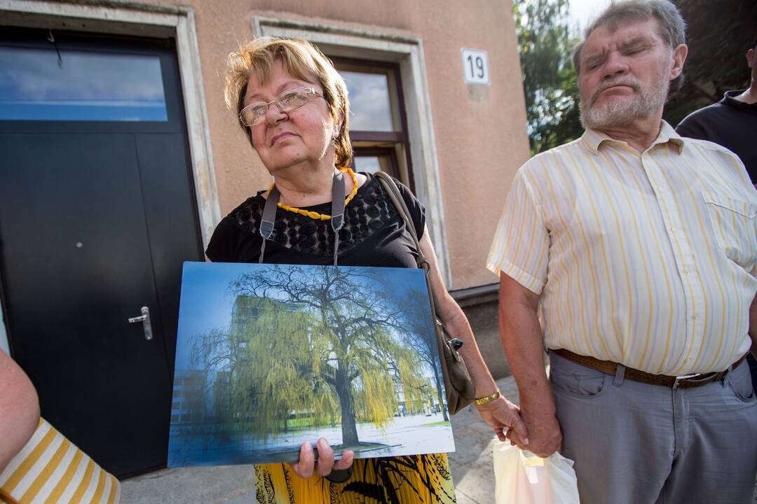 Protestas Miško gatvėje dėl kertamų medžių 