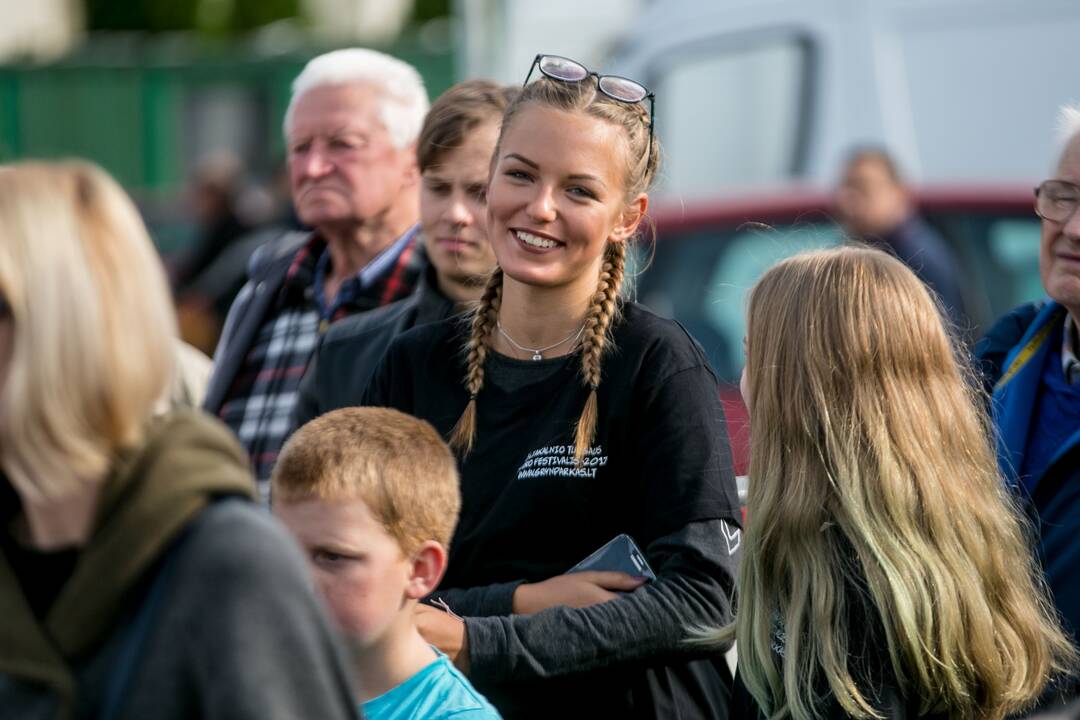 Žaliakalnio turgaus teatro festivalis 2017