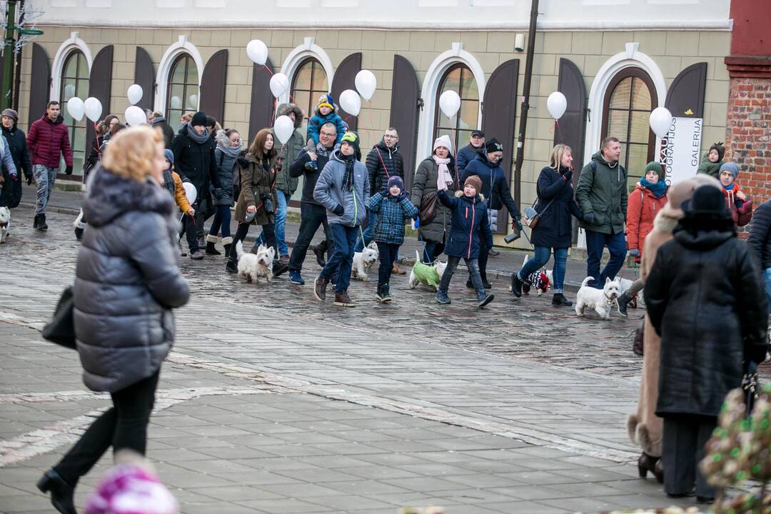 Šv. Mikalojaus eisena į Kauno Rotušę