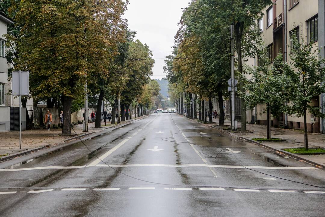 Nutraukti Kęstučio g. troleibusų laidai