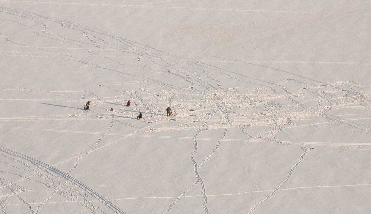 Aplinkosaugininkų reidai sraigtasparniu