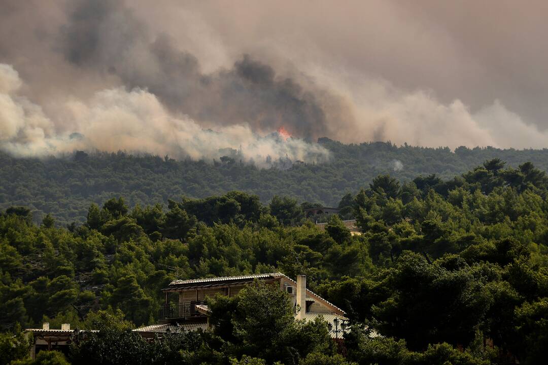 Graikijoje siaučia miškų gaisrai