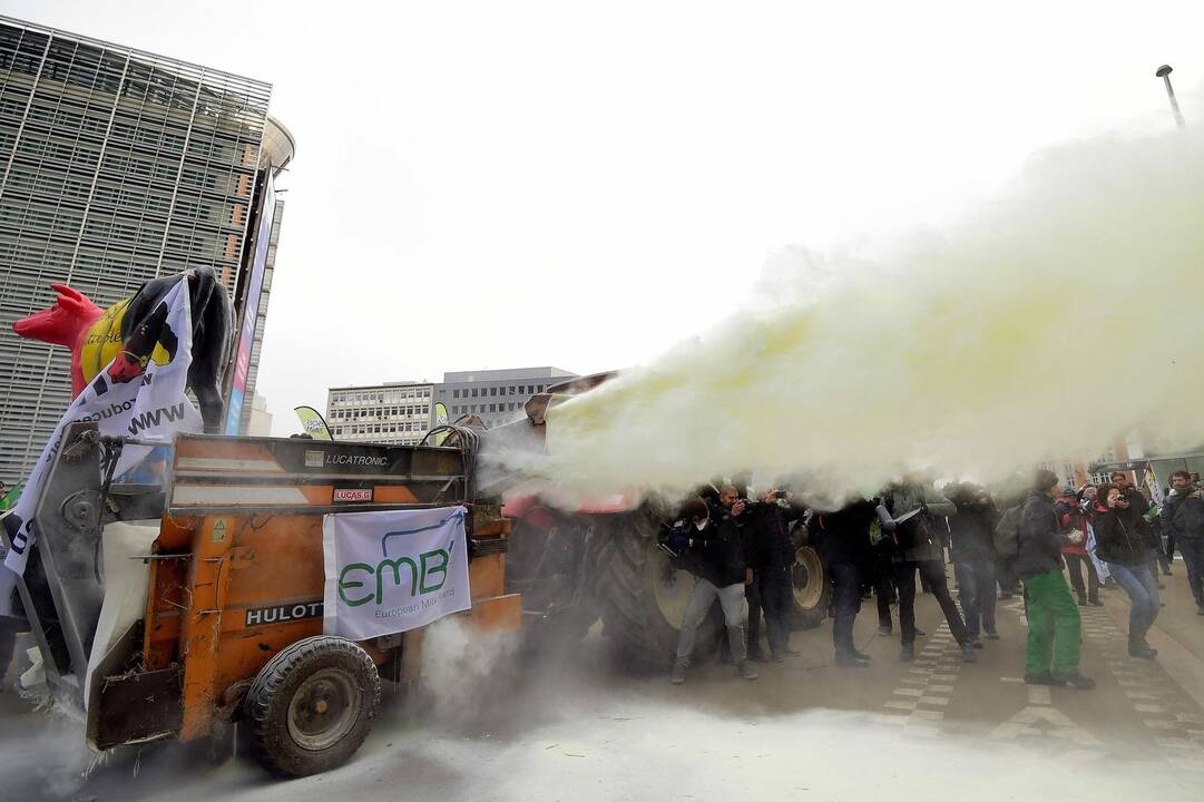 Pieno gamintojų protestas Briuselyje