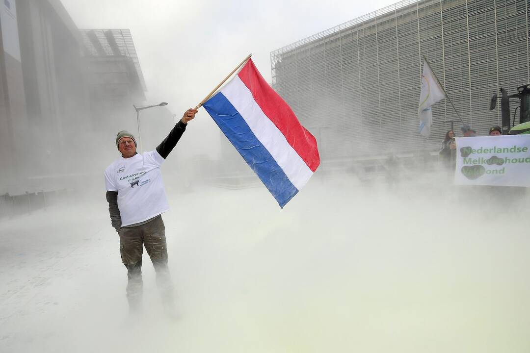 Pieno gamintojų protestas Briuselyje