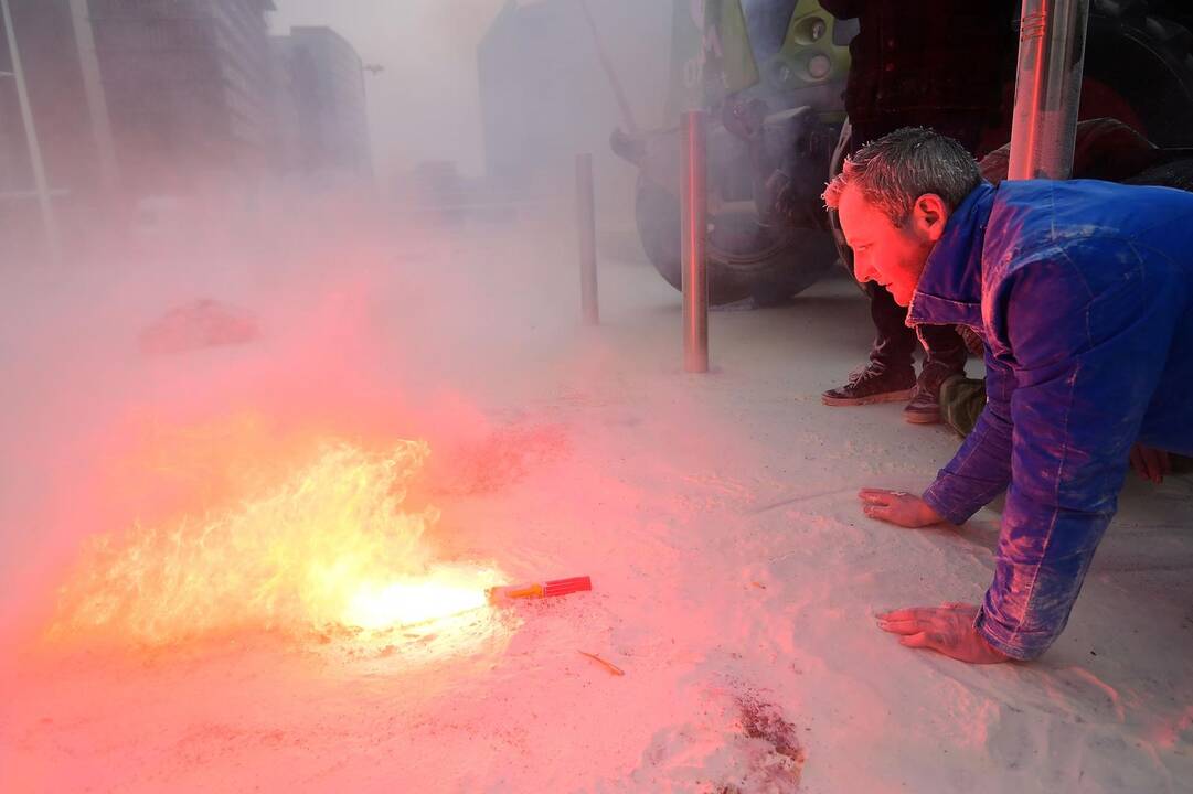 Pieno gamintojų protestas Briuselyje