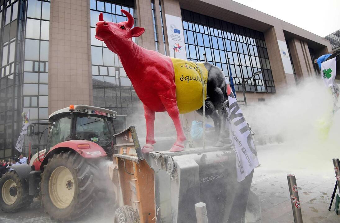 Pieno gamintojų protestas Briuselyje