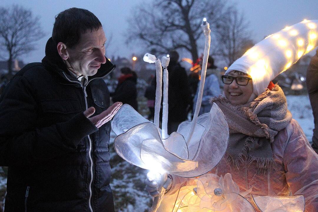 Balzaminės tuopos šventė Šančiuose