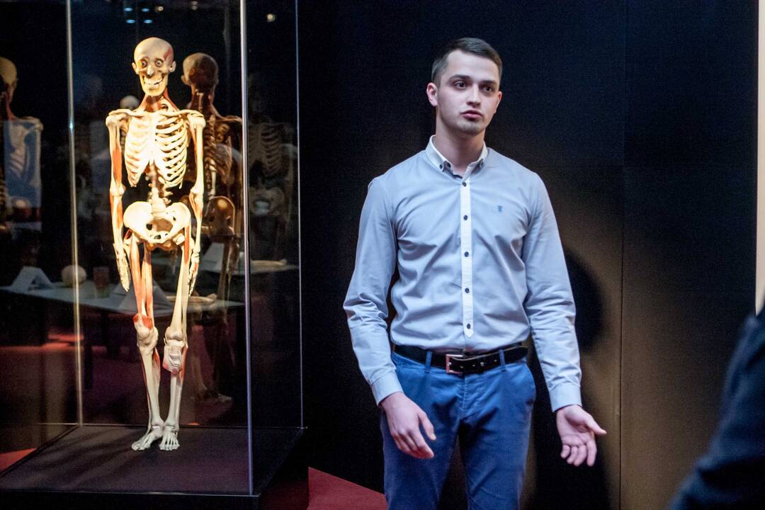"Body worlds vital" paroda Kaune
