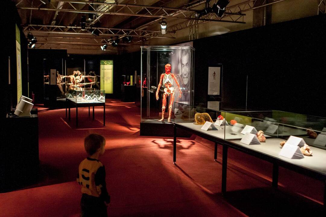 "Body worlds vital" paroda Kaune