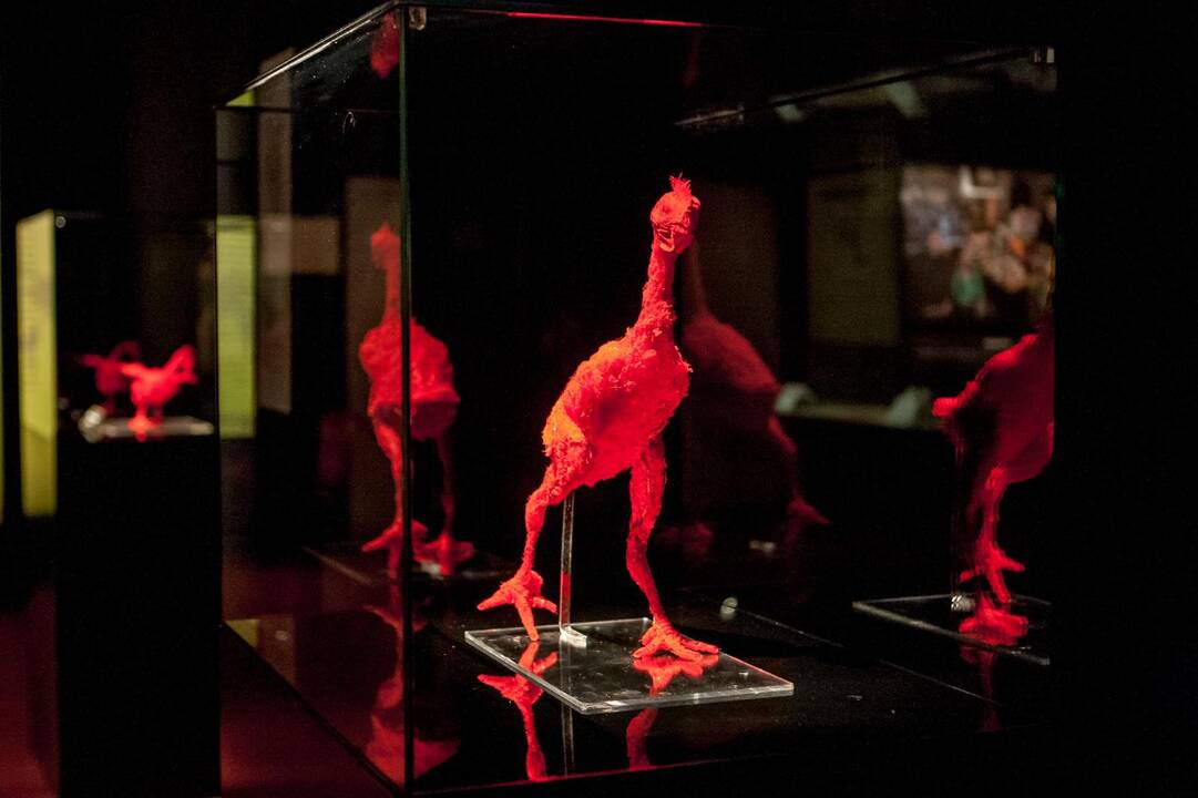 "Body worlds vital" paroda Kaune