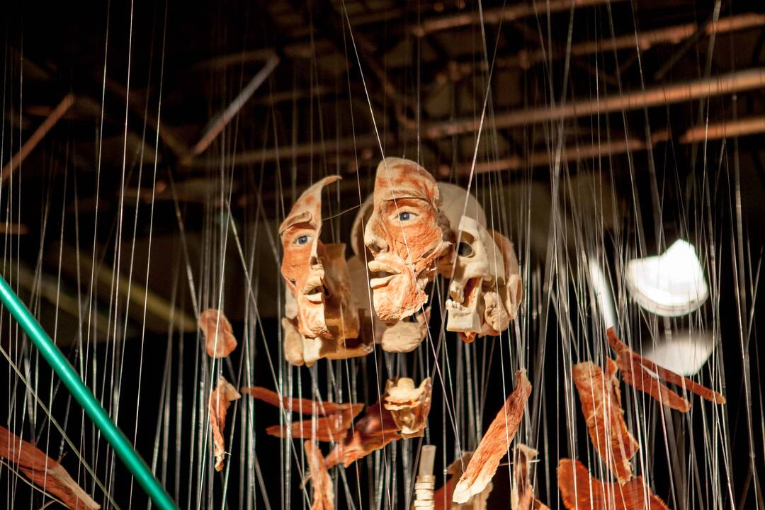 "Body worlds vital" paroda Kaune