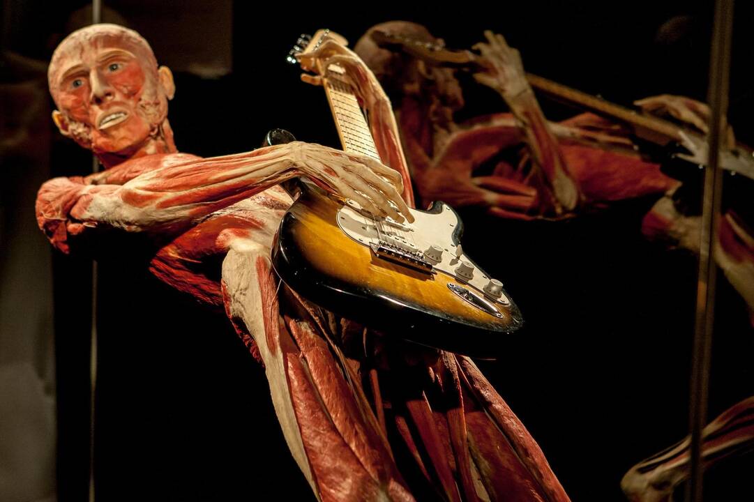 "Body worlds vital" paroda Kaune