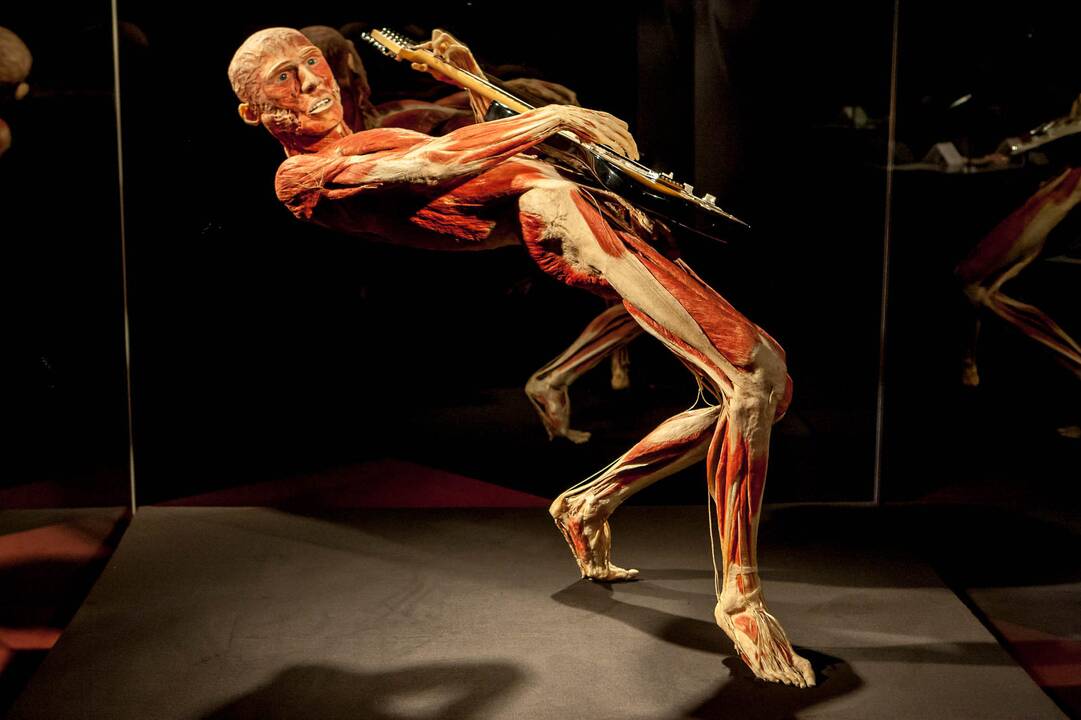 "Body worlds vital" paroda Kaune