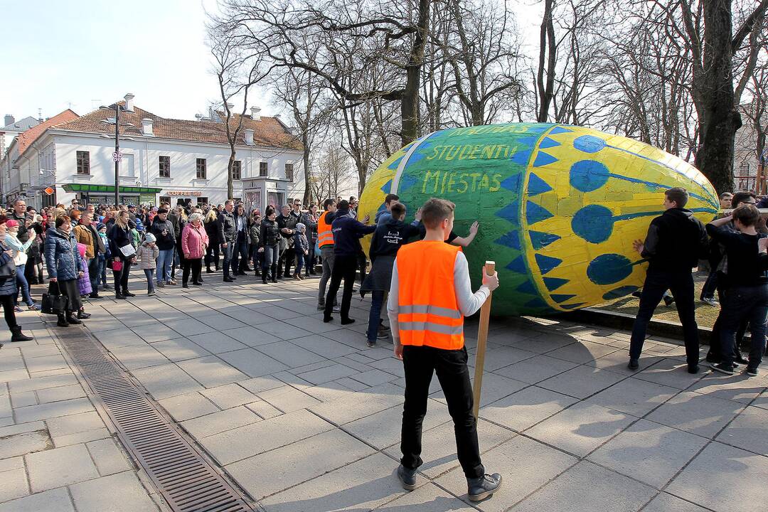 Studentai Kauno centre rideno rekordinį margutį.