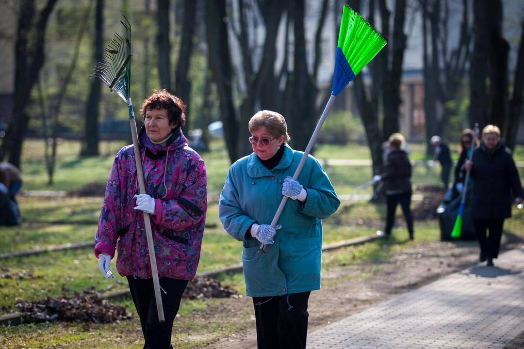 Pavasarinė talka Kaune