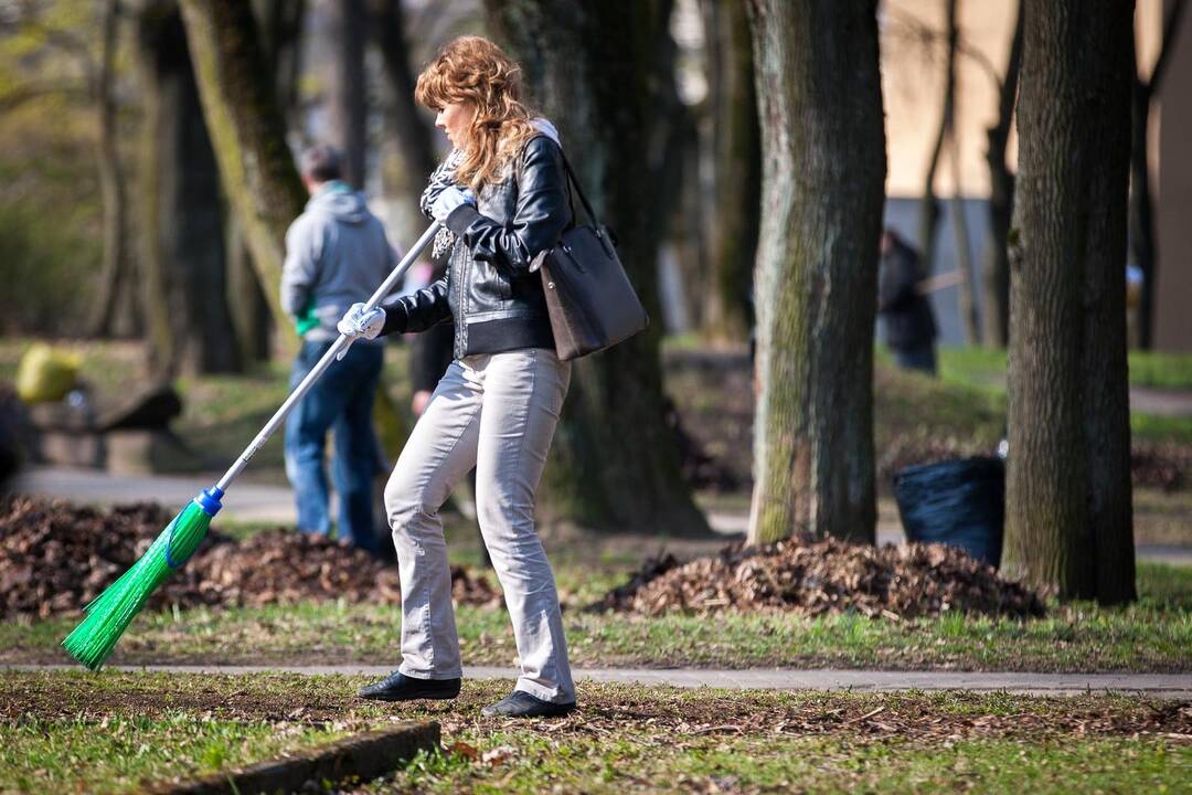 Pavasarinė talka Kaune