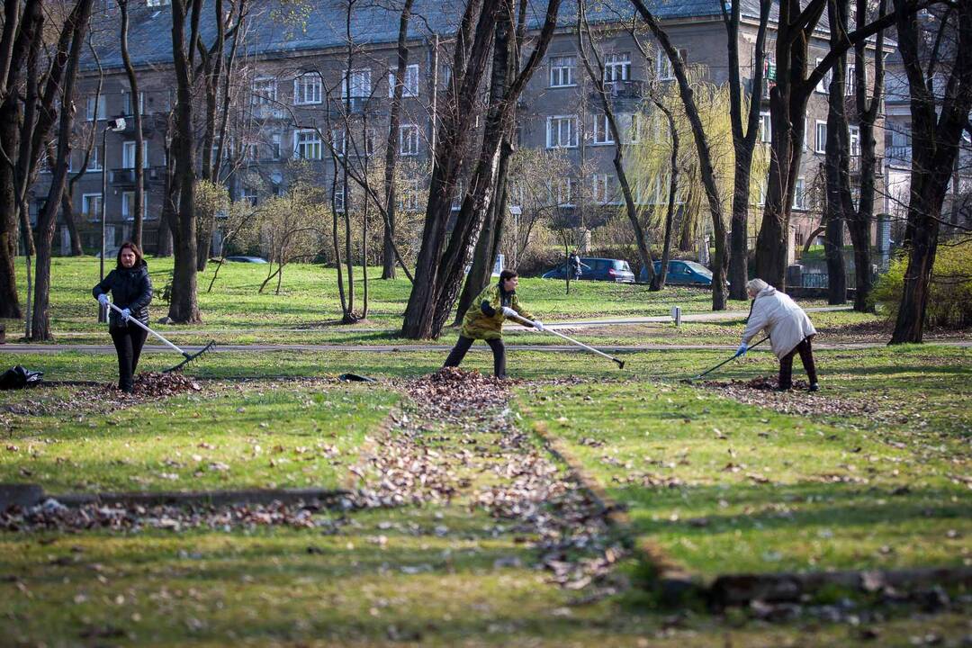 Pavasarinė talka Kaune