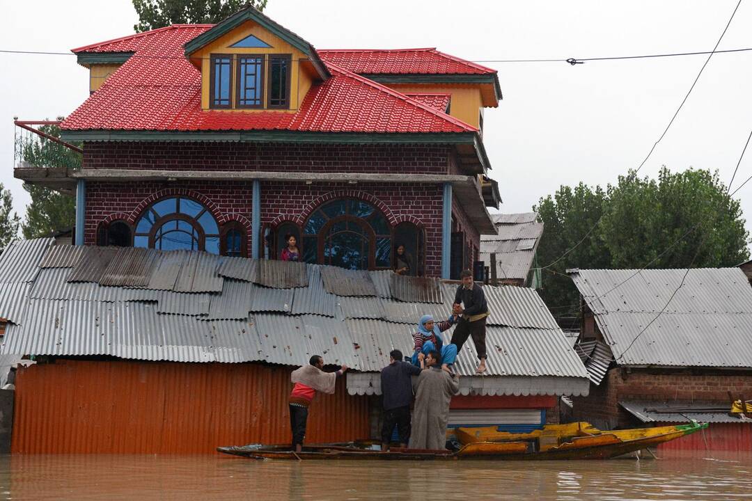 Liūtys Pakistane ir Indijoje