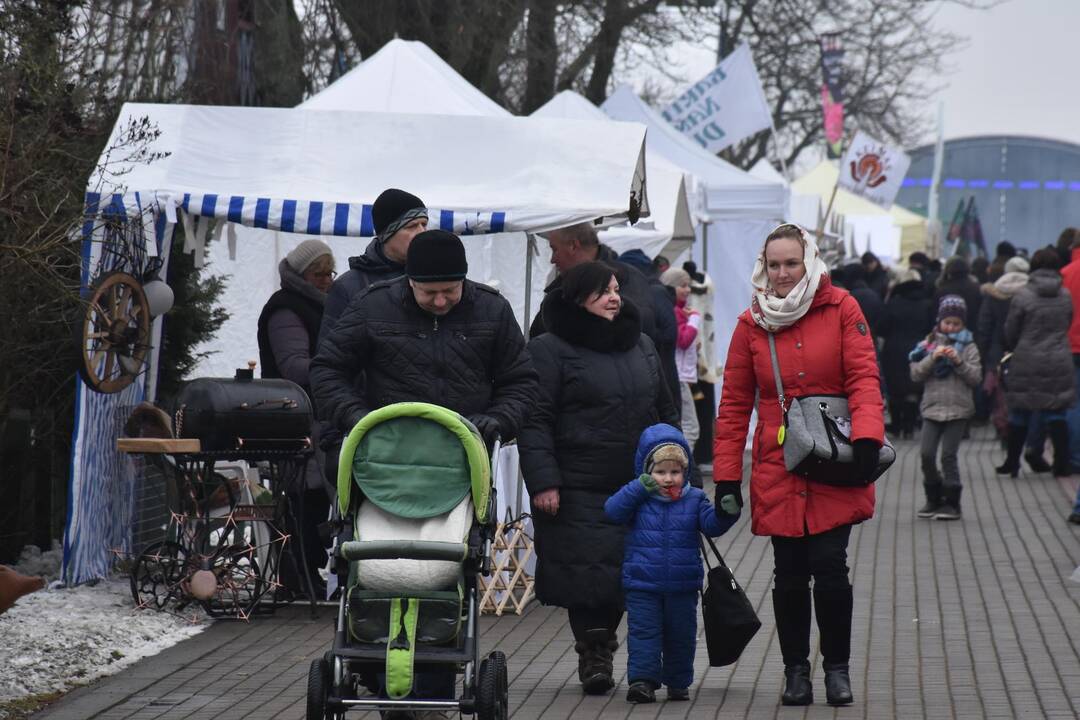 „Stintapūkio“ šventė Nidoje